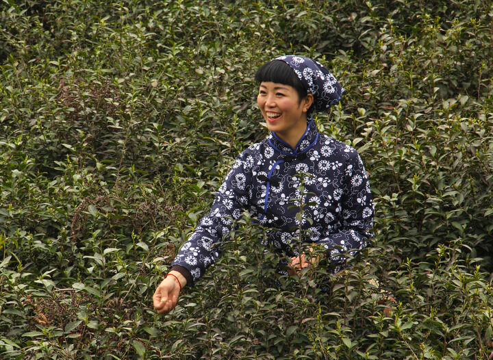 致命诱惑